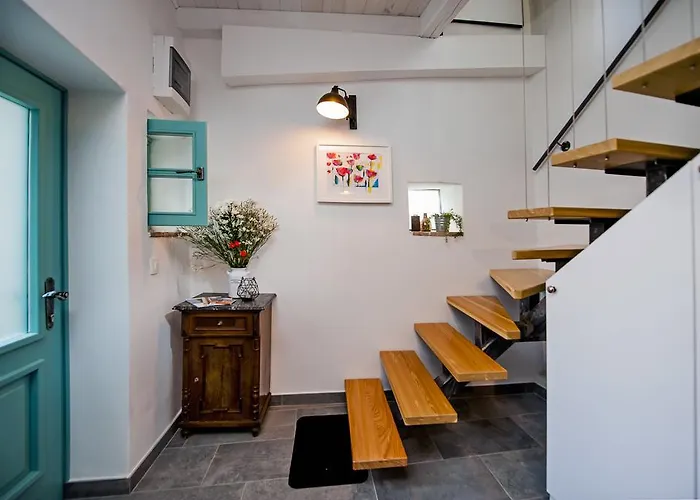 Delight Ρόβινι