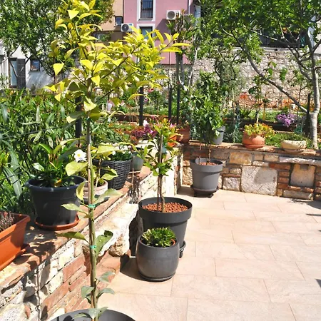 Апартаменты Delight