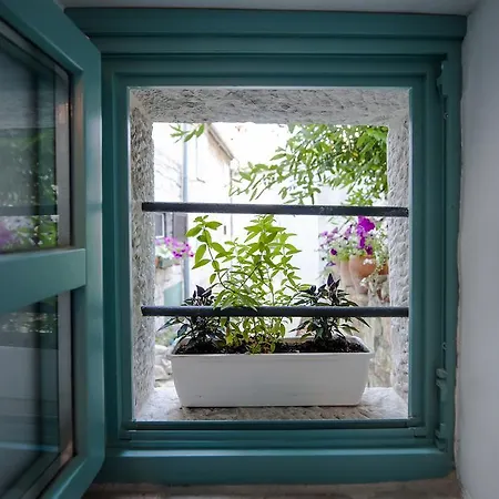 Delight Apartment *